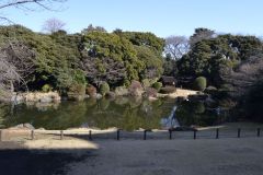 A park in Tokyo, Japan