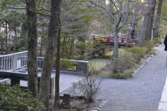 In a park in Kamakura, Japan