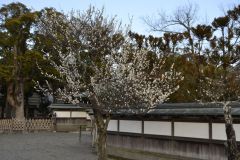 In a park in Kamakura, Japan