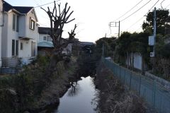 Street scene in Kamakura, Japan