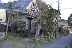 Street scene in Kamakura, Japan