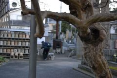Street scene in Kamakura, Japan