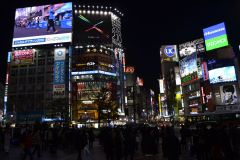 Shibuya crossing at night in Tokyo, Japan
