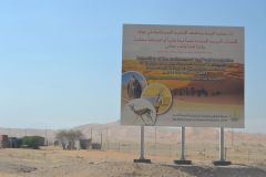 Landscape in the Rub al-Chali near the border of Oman in the United Arab Emirates