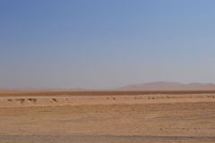 Landscape in the Rub al-Chali near the border of Oman in the United Arab Emirates