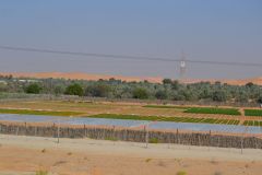 Landscape in the Rub al-Chali at the Oasis Liwa in the United Arab Emirates