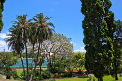 View of the Botanical Garden Sydney, Australia