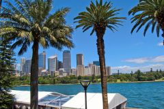 Sydney CBD taken from the Botanical Garden in Sydney, Australia