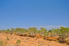 Landscape in the Outback between Coral Bay and Tom Price in Western Australia