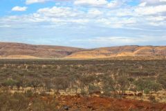 Landscape in the Outback between Coral Bay and Tom Price in Western Australia