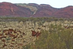Landscape in the Outback between Coral Bay and Tom Price in Western Australia