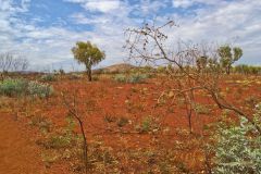 Landscape in the Karajini National Park, Western Australia