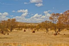 Outback landscape between Karajini National Park and Newman, Western Australia