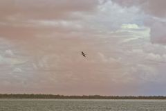 Ophthamlmia Dam near Newman, Western Australia