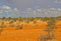 Landscape on the road between Newman and Meekatharra