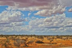 Landscape on the road between Newman and Meekatharra