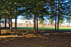 At the Esplanade Park in Fremantle, Western Australia