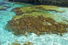 Beach scene at Rottnest Island, Western Australia