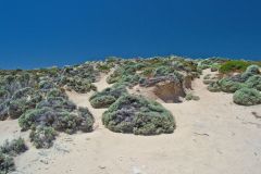 Beach scene at Rottnest Island, Western Australia