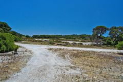Scene at Rottnest Island, Western Australia