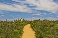 Landscape in Western Australia, north of Perth