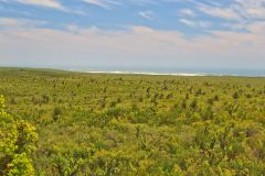 Landscape in Western Australia, north of Perth