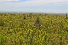 Landscape in Western Australia, north of Perth