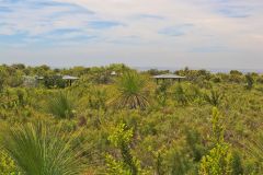 Landscape in Western Australia, north of Perth