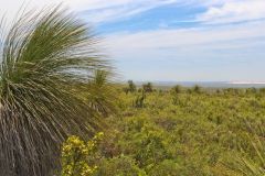 Landscape in Western Australia, north of Perth