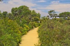 Landscape in Western Australia, north of Perth