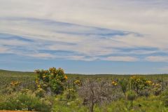 Landscape in Western Australia, north of Perth