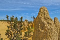 Landscape in the Pinnacles National Park, Western Australia