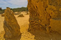 Landscape in the Pinnacles National Park, Western Australia
