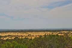 Landscape in the Pinnacles National Park, Western Australia