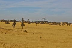 Landscape in the Pinnacles National Park, Western Australia