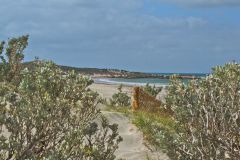 Beach of our first campsite in the morning in Western Australia