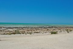 Beach of Hamelin Pool at Shark Bay in Western Australia