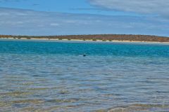Beach scene at Big Lagoon, Shark Bay, Western Australia