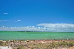 The beach at Denham, Western Australia