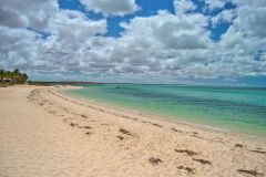 Monkey Mia at Shark Bay, Western Australia