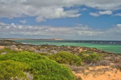 Monkey Mia at Shark Bay, Western Australia