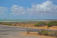 At Little Lagoon at the Shark Bay, Western Australia