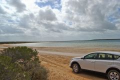 At Little Lagoon at the Shark Bay, Western Australia
