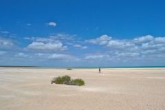 Shell Beach at Shark Bay, Western Australia