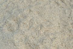 Shells at Shell Beach at Shark Bay, Western Australia