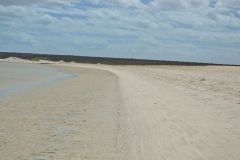 Shell Beach at Shark Bay, Western Australia
