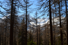 Hiking to the Lago d Arpy in the Aosta Vally in April, Italy
