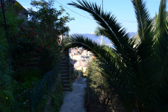 Hiking from Vernazza to Corniglia in Cinque Terre Italy