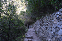 Hiking from Vernazza to Corniglia in Cinque Terre Italy