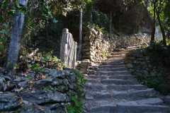 Hiking from Vernazza to Corniglia in Cinque Terre Italy